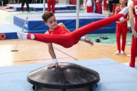 Thumbnail - Hessen - Noah Julian Pelzer - Gymnastique Artistique - 2022 - Deutschlandpokal Cottbus - Teilnehmer - AK 09 bis 10 02054_07175.jpg