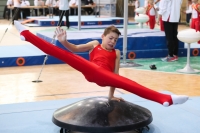 Thumbnail - Hessen - Jasper Nolte - Gymnastique Artistique - 2022 - Deutschlandpokal Cottbus - Teilnehmer - AK 09 bis 10 02054_07201.jpg