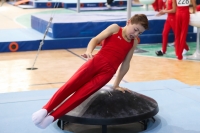 Thumbnail - Hessen - Jasper Nolte - Gymnastique Artistique - 2022 - Deutschlandpokal Cottbus - Teilnehmer - AK 09 bis 10 02054_07208.jpg