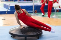 Thumbnail - Hessen - Jasper Nolte - Artistic Gymnastics - 2022 - Deutschlandpokal Cottbus - Teilnehmer - AK 09 bis 10 02054_07209.jpg