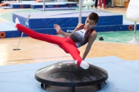 Thumbnail - Niedersachsen - Alin Gabriel Petcu - Artistic Gymnastics - 2022 - Deutschlandpokal Cottbus - Teilnehmer - AK 09 bis 10 02054_07620.jpg