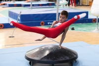 Thumbnail - Niedersachsen - Alin Gabriel Petcu - Artistic Gymnastics - 2022 - Deutschlandpokal Cottbus - Teilnehmer - AK 09 bis 10 02054_07622.jpg