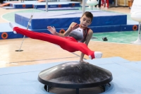 Thumbnail - Niedersachsen - Alin Gabriel Petcu - Artistic Gymnastics - 2022 - Deutschlandpokal Cottbus - Teilnehmer - AK 09 bis 10 02054_07624.jpg