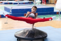 Thumbnail - Niedersachsen - Alin Gabriel Petcu - Artistic Gymnastics - 2022 - Deutschlandpokal Cottbus - Teilnehmer - AK 09 bis 10 02054_07629.jpg