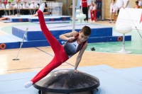 Thumbnail - Niedersachsen - Alin Gabriel Petcu - Artistic Gymnastics - 2022 - Deutschlandpokal Cottbus - Teilnehmer - AK 09 bis 10 02054_07631.jpg
