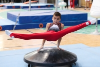 Thumbnail - Niedersachsen - Alin Gabriel Petcu - Artistic Gymnastics - 2022 - Deutschlandpokal Cottbus - Teilnehmer - AK 09 bis 10 02054_07633.jpg