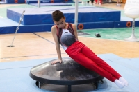 Thumbnail - Niedersachsen - Alin Gabriel Petcu - Artistic Gymnastics - 2022 - Deutschlandpokal Cottbus - Teilnehmer - AK 09 bis 10 02054_07635.jpg