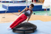 Thumbnail - Niedersachsen - Alin Gabriel Petcu - Artistic Gymnastics - 2022 - Deutschlandpokal Cottbus - Teilnehmer - AK 09 bis 10 02054_07636.jpg