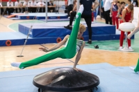 Thumbnail - Sachsen-Anhalt - Noah Föllner - Спортивная гимнастика - 2022 - Deutschlandpokal Cottbus - Teilnehmer - AK 09 bis 10 02054_07801.jpg
