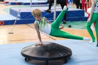 Thumbnail - Sachsen-Anhalt - Noah Föllner - Artistic Gymnastics - 2022 - Deutschlandpokal Cottbus - Teilnehmer - AK 09 bis 10 02054_07803.jpg