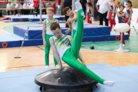 Thumbnail - Sachsen-Anhalt - Lennox Altenberger - Artistic Gymnastics - 2022 - Deutschlandpokal Cottbus - Teilnehmer - AK 09 bis 10 02054_07833.jpg