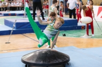 Thumbnail - Sachsen-Anhalt - Paul Durzy - Artistic Gymnastics - 2022 - Deutschlandpokal Cottbus - Teilnehmer - AK 09 bis 10 02054_07846.jpg