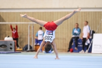 Thumbnail - Saarland - Alexios Mousichidis - Artistic Gymnastics - 2022 - Deutschlandpokal Cottbus - Teilnehmer - AK 09 bis 10 02054_08092.jpg