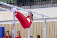 Thumbnail - AK 11 bis 12 - Artistic Gymnastics - 2022 - Deutschlandpokal Cottbus - Teilnehmer 02054_15979.jpg