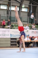 Thumbnail - Sachsen - Taimur Abdullah - Artistic Gymnastics - 2022 - Deutschlandpokal Cottbus - Teilnehmer - AK 13 bis 14 02054_18169.jpg