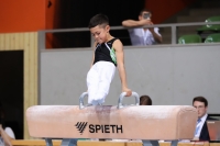 Thumbnail - Schwaben - Raphael Wolfinger - Artistic Gymnastics - 2022 - Deutschlandpokal Cottbus - Teilnehmer - AK 13 bis 14 02054_20175.jpg