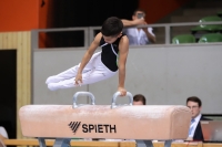 Thumbnail - Schwaben - Raphael Wolfinger - Artistic Gymnastics - 2022 - Deutschlandpokal Cottbus - Teilnehmer - AK 13 bis 14 02054_20177.jpg