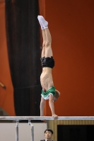 Thumbnail - AK 15 bis 18 - Artistic Gymnastics - 2022 - Deutschlandpokal Cottbus - Teilnehmer 02054_20688.jpg