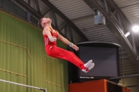 Thumbnail - Brandenburg - Felix Seemann - Artistic Gymnastics - 2022 - Deutschlandpokal Cottbus - Teilnehmer - AK 15 bis 18 02054_21374.jpg