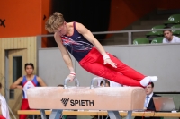 Thumbnail - Sachsen - Fabrice Szakál - Ginnastica Artistica - 2022 - Deutschlandpokal Cottbus - Teilnehmer - AK 15 bis 18 02054_21770.jpg