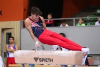 Thumbnail - Sachsen - Arthur Bespaluk - Gymnastique Artistique - 2022 - Deutschlandpokal Cottbus - Teilnehmer - AK 15 bis 18 02054_21869.jpg