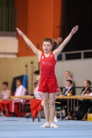 Thumbnail - Brandenburg - Felix Seemann - Artistic Gymnastics - 2022 - Deutschlandpokal Cottbus - Teilnehmer - AK 15 bis 18 02054_22309.jpg