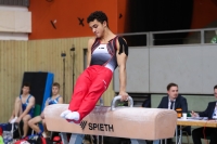 Thumbnail - Niedersachsen - Daniel Serban - Gymnastique Artistique - 2022 - Deutschlandpokal Cottbus - Teilnehmer - AK 15 bis 18 02054_23915.jpg