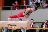 Thumbnail - Niedersachsen - Vladyslav Rozhkov - Gymnastique Artistique - 2022 - Deutschlandpokal Cottbus - Teilnehmer - AK 15 bis 18 02054_24146.jpg