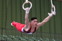 Thumbnail - Niedersachsen - Vladyslav Rozhkov - Gymnastique Artistique - 2022 - Deutschlandpokal Cottbus - Teilnehmer - AK 15 bis 18 02054_24637.jpg