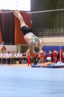 Thumbnail - Sachsen-Anhalt - Travis Pichler - Gymnastique Artistique - 2022 - Deutschlandpokal Cottbus - Teilnehmer - AK 15 bis 18 02054_24898.jpg
