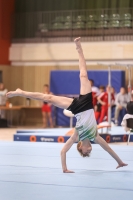 Thumbnail - Sachsen-Anhalt - Travis Pichler - Gymnastique Artistique - 2022 - Deutschlandpokal Cottbus - Teilnehmer - AK 15 bis 18 02054_24931.jpg