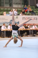 Thumbnail - Sachsen-Anhalt - Travis Pichler - Gymnastique Artistique - 2022 - Deutschlandpokal Cottbus - Teilnehmer - AK 15 bis 18 02054_24940.jpg