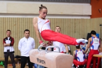 Thumbnail - NRW - Lukas Kluge - Artistic Gymnastics - 2022 - Deutschlandpokal Cottbus - Teilnehmer - AK 15 bis 18 02054_25179.jpg