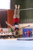Thumbnail - 2022 - Deutschlandpokal Cottbus - Artistic Gymnastics 02054_25201.jpg