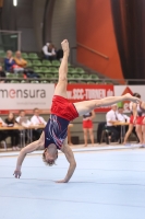 Thumbnail - Sachsen - Fabrice Szakál - Gymnastique Artistique - 2022 - Deutschlandpokal Cottbus - Teilnehmer - AK 15 bis 18 02054_25228.jpg