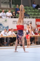 Thumbnail - Sachsen - Arthur Bespaluk - Спортивная гимнастика - 2022 - Deutschlandpokal Cottbus - Teilnehmer - AK 15 bis 18 02054_25303.jpg