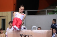Thumbnail - AK 15 bis 18 - Gymnastique Artistique - 2022 - Deutschlandpokal Cottbus - Teilnehmer 02054_25405.jpg