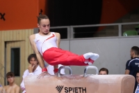 Thumbnail - Teilnehmer - Спортивная гимнастика - 2022 - Deutschlandpokal Cottbus 02054_25406.jpg
