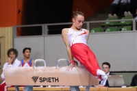 Thumbnail - AK 15 bis 18 - Спортивная гимнастика - 2022 - Deutschlandpokal Cottbus - Teilnehmer 02054_25416.jpg