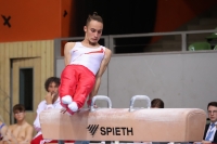 Thumbnail - AK 15 bis 18 - Artistic Gymnastics - 2022 - Deutschlandpokal Cottbus - Teilnehmer 02054_25422.jpg