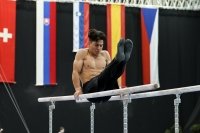Thumbnail - Participants - Спортивная гимнастика - 2022 - Austrian Future Cup 02055_00091.jpg