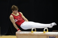 Thumbnail - Victor Canuel - Спортивная гимнастика - 2022 - Austrian Future Cup - Participants - Canada 02055_00228.jpg