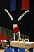 Thumbnail - Austria - Artistic Gymnastics - 2022 - Austrian Future Cup - Participants 02055_00757.jpg