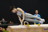 Thumbnail - James Knipe - Artistic Gymnastics - 2022 - Austrian Future Cup - Participants - Great Britain 02055_01303.jpg