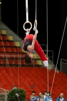 Thumbnail - Samuel Wachter - Artistic Gymnastics - 2022 - Austrian Future Cup - Participants - Austria 02055_02631.jpg