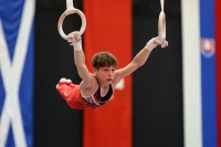 Thumbnail - Samuel Wachter - Ginnastica Artistica - 2022 - Austrian Future Cup - Participants - Austria 02055_02633.jpg