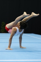 Thumbnail - Poland - Gymnastique Artistique - 2022 - Austrian Future Cup - Participants 02055_03206.jpg