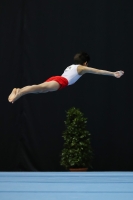 Thumbnail - Poland - Artistic Gymnastics - 2022 - Austrian Future Cup - Participants 02055_03220.jpg