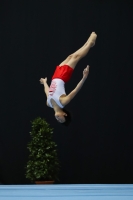 Thumbnail - Poland - Artistic Gymnastics - 2022 - Austrian Future Cup - Participants 02055_03223.jpg