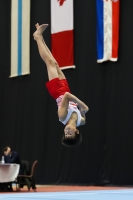 Thumbnail - Poland - Artistic Gymnastics - 2022 - Austrian Future Cup - Participants 02055_03228.jpg